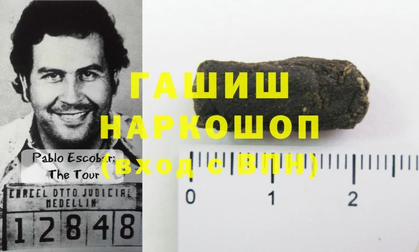 стаф Алексин