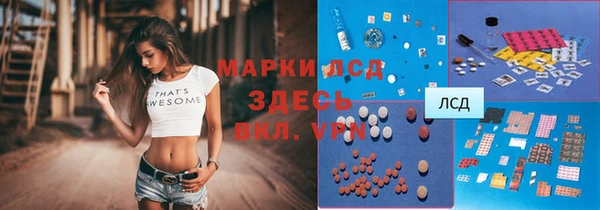стаф Алексин