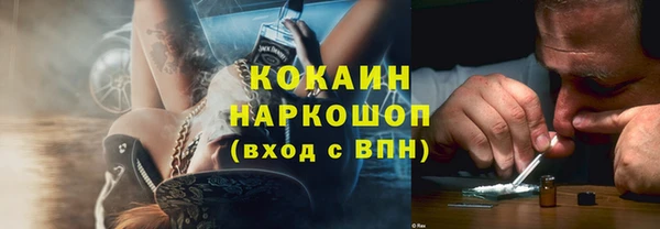 стаф Алексин