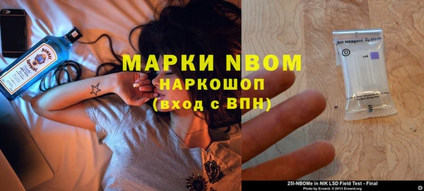 стаф Алексин