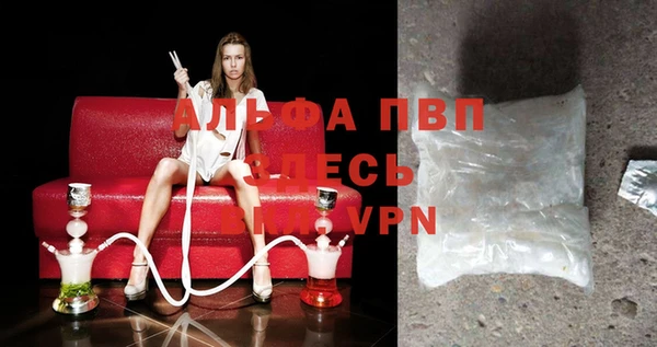 стаф Алексин